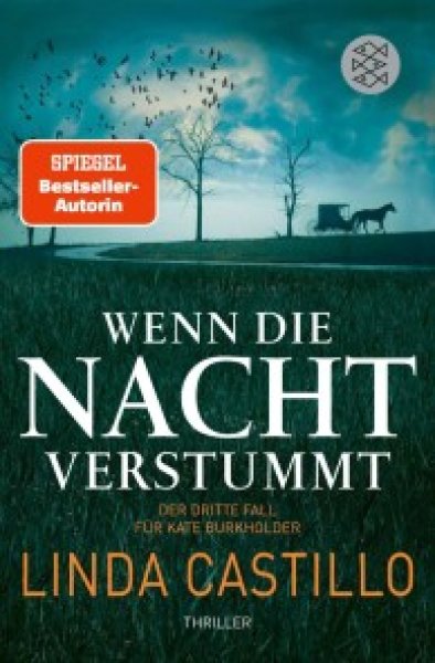 Buchcover: Wenn die Nacht verstummt Buchcover: Wenn die Nacht verstummt