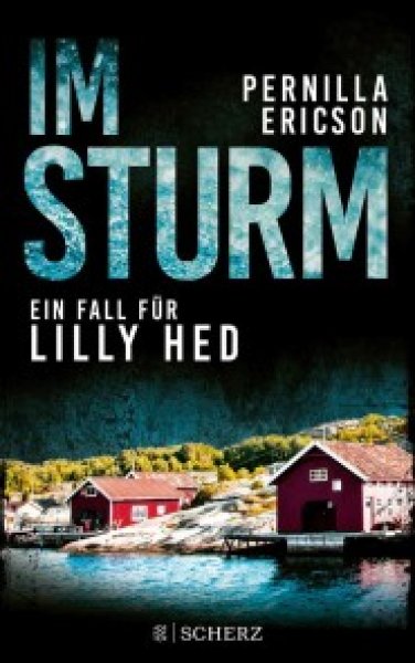 Buchcover: Im Sturm