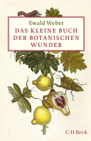 Buchcover: Das kleine Buch der botanischen Wunder Buchcover: Das kleine Buch der botanischen Wunder