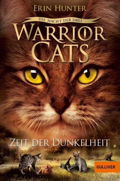 Buchcover: Warrior Cats Staffel 3/04. Die Macht der drei. Zeit der Dunkelheit