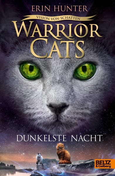 Buchcover: Warrior Cats Staffel 6/04. Vision von Schatten. Dunkelste Nacht