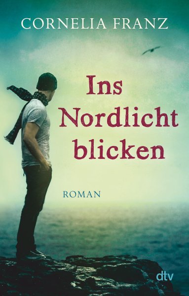 Buchcover: Ins Nordlicht blicken