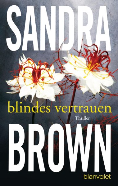 Buchcover: Blindes Vertrauen