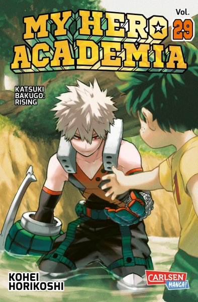 Buchcover: My Hero Academia 29