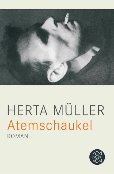 Buchcover: Atemschaukel