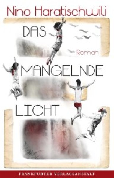 Buchcover: Das mangelnde Licht
