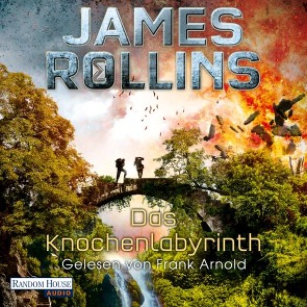 Buchcover: Das Knochenlabyrinth
