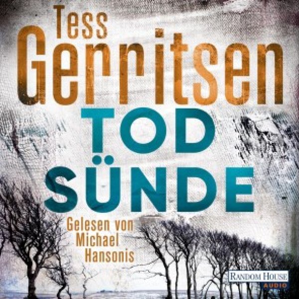 Buchcover: Todsünde