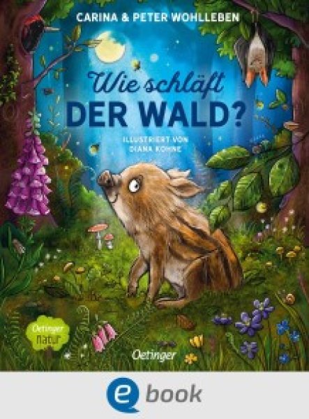 Buchcover: Wie schläft der Wald? Buchcover: Wie schläft der Wald?