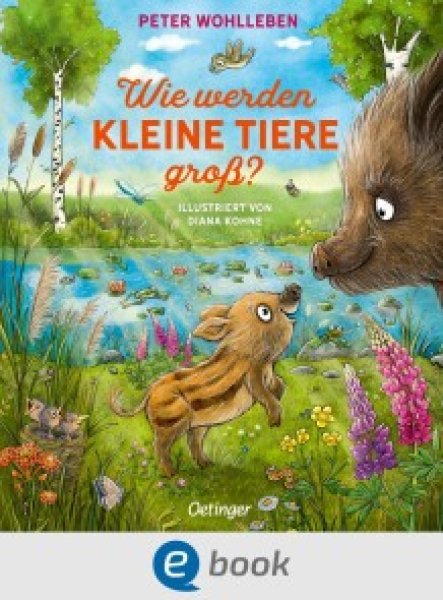 Buchcover: Wie werden kleine Tiere groß?