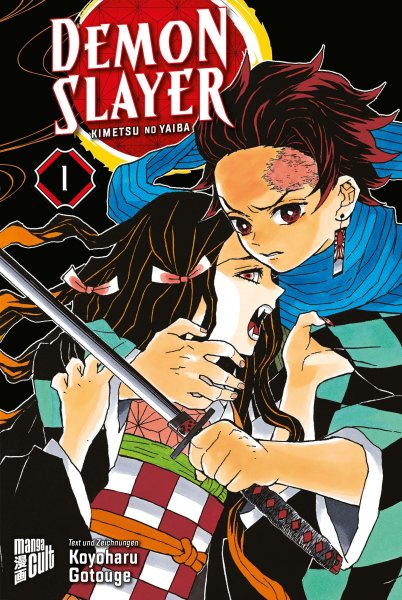 Buchcover: Demon Slayer 1