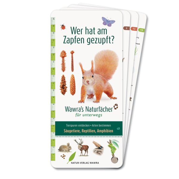 Buchcover: Wer hat am Zapfen gezupft? - Wawras Naturfächer für unterwegs Buchcover: Wer hat am Zapfen gezupft? - Wawras Naturfächer für unterwegs