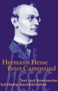 Buchcover: Peter Camenzind