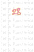 Buchcover: Junjo Romantica 28