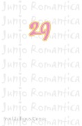 Buchcover: Junjo Romantica 29