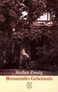 Buchcover: Brennendes Geheimnis