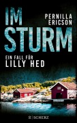 Buchcover: Im Sturm