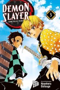 Buchcover: Demon Slayer 3