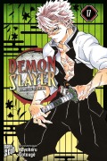 Buchcover: Demon Slayer - Kimetsu no Yaiba 17